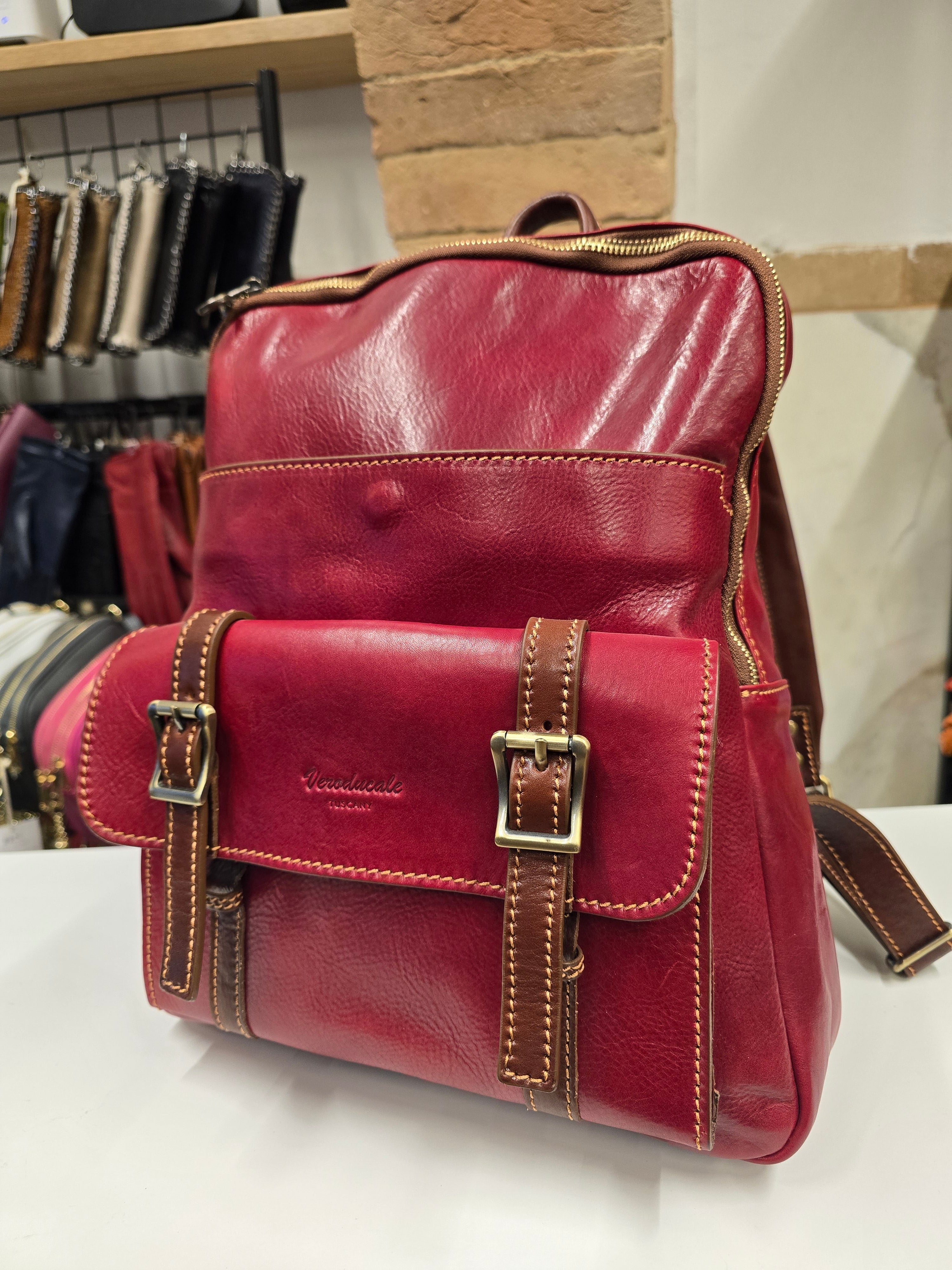 Ducale trolley Sleeve Backpack