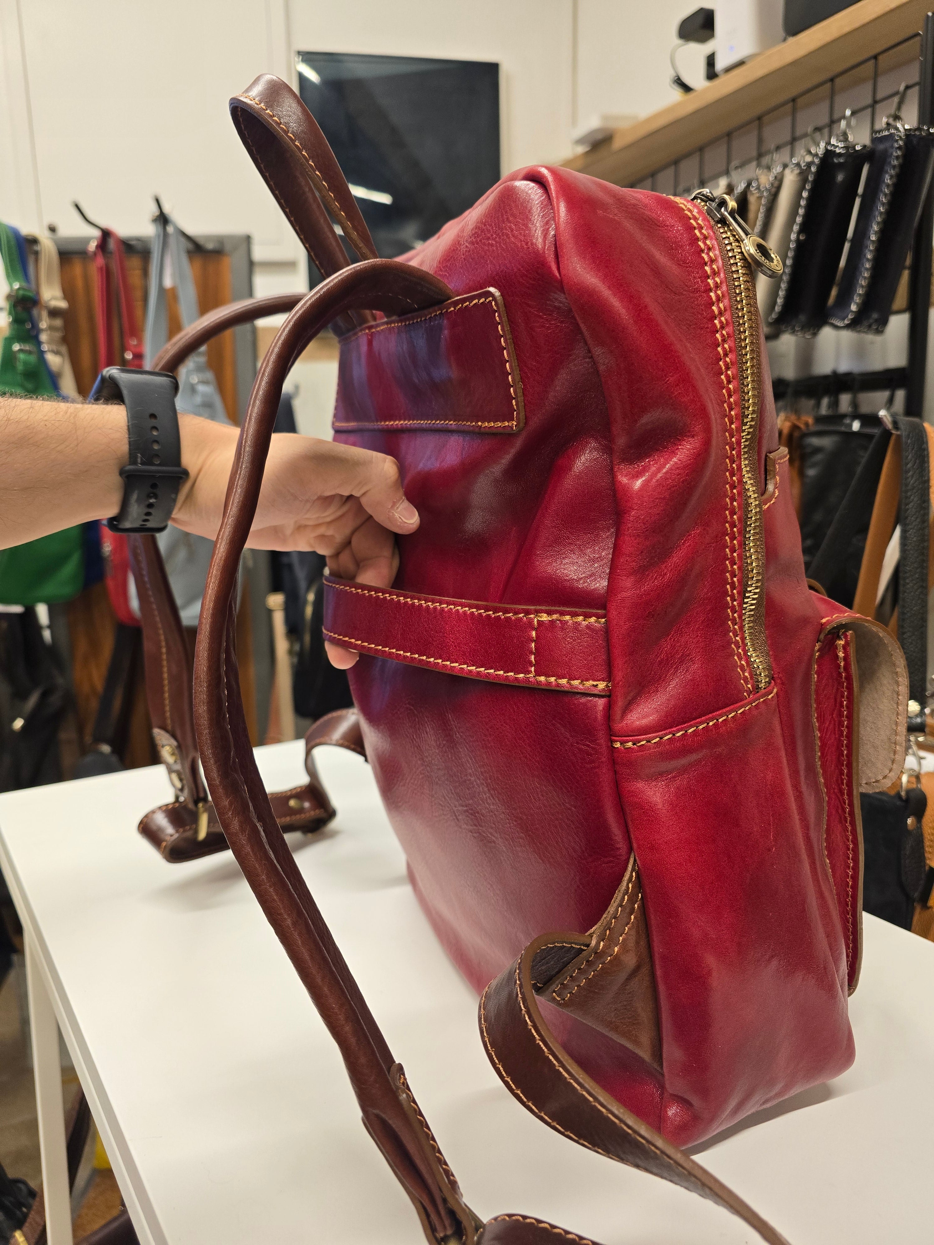 Ducale trolley Sleeve Backpack