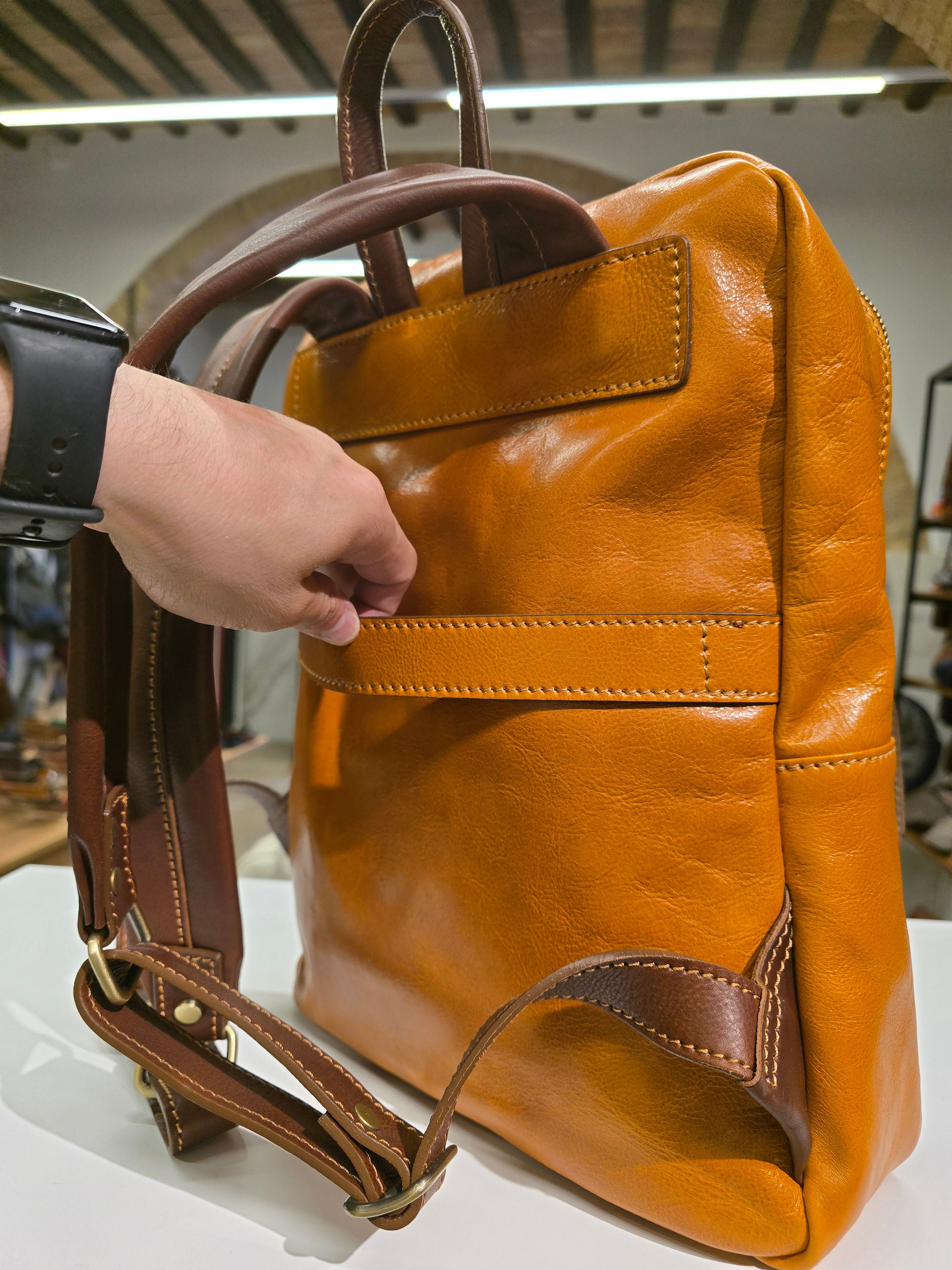Ducale trolley Sleeve Backpack