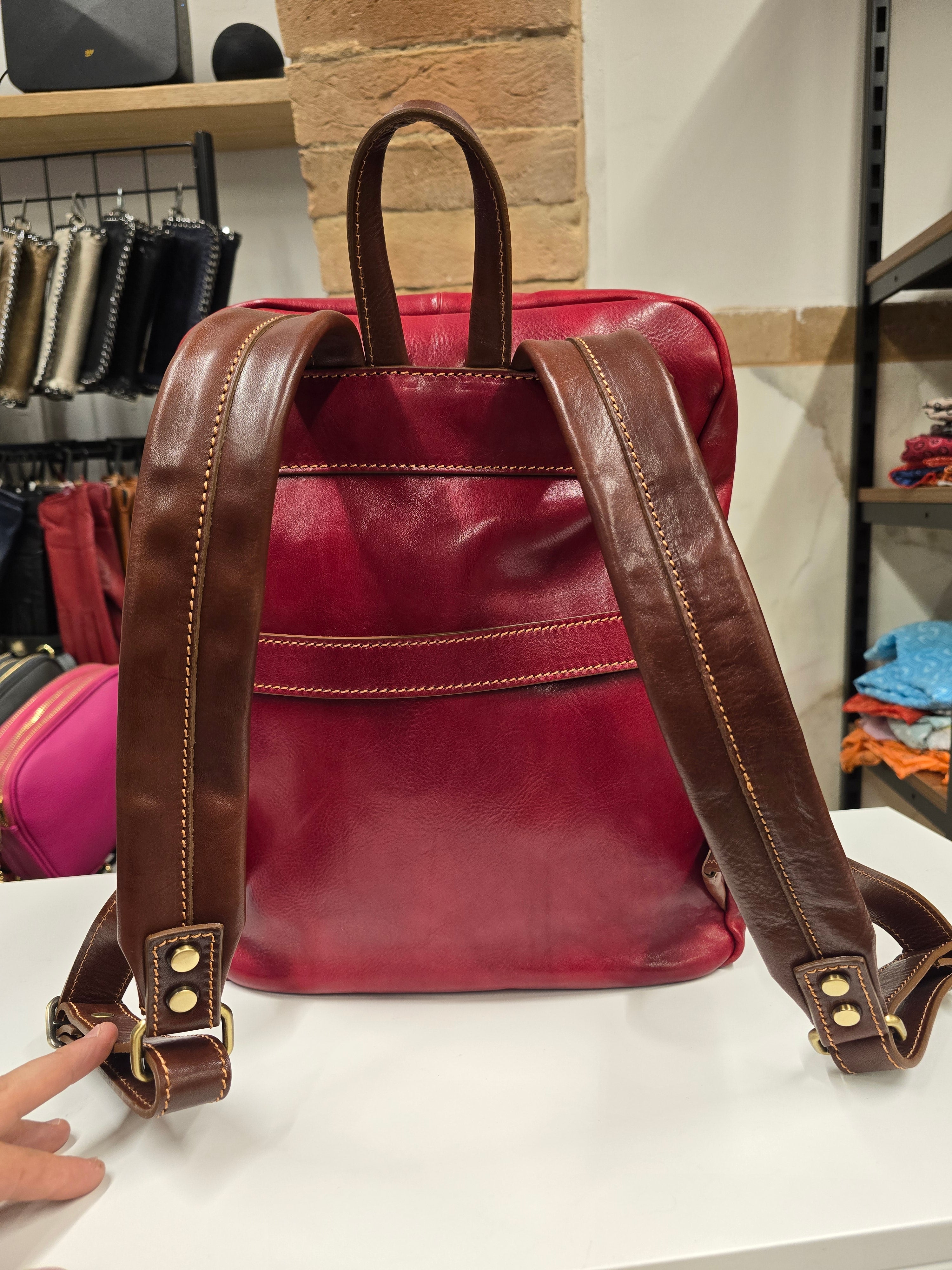 Ducale trolley Sleeve Backpack