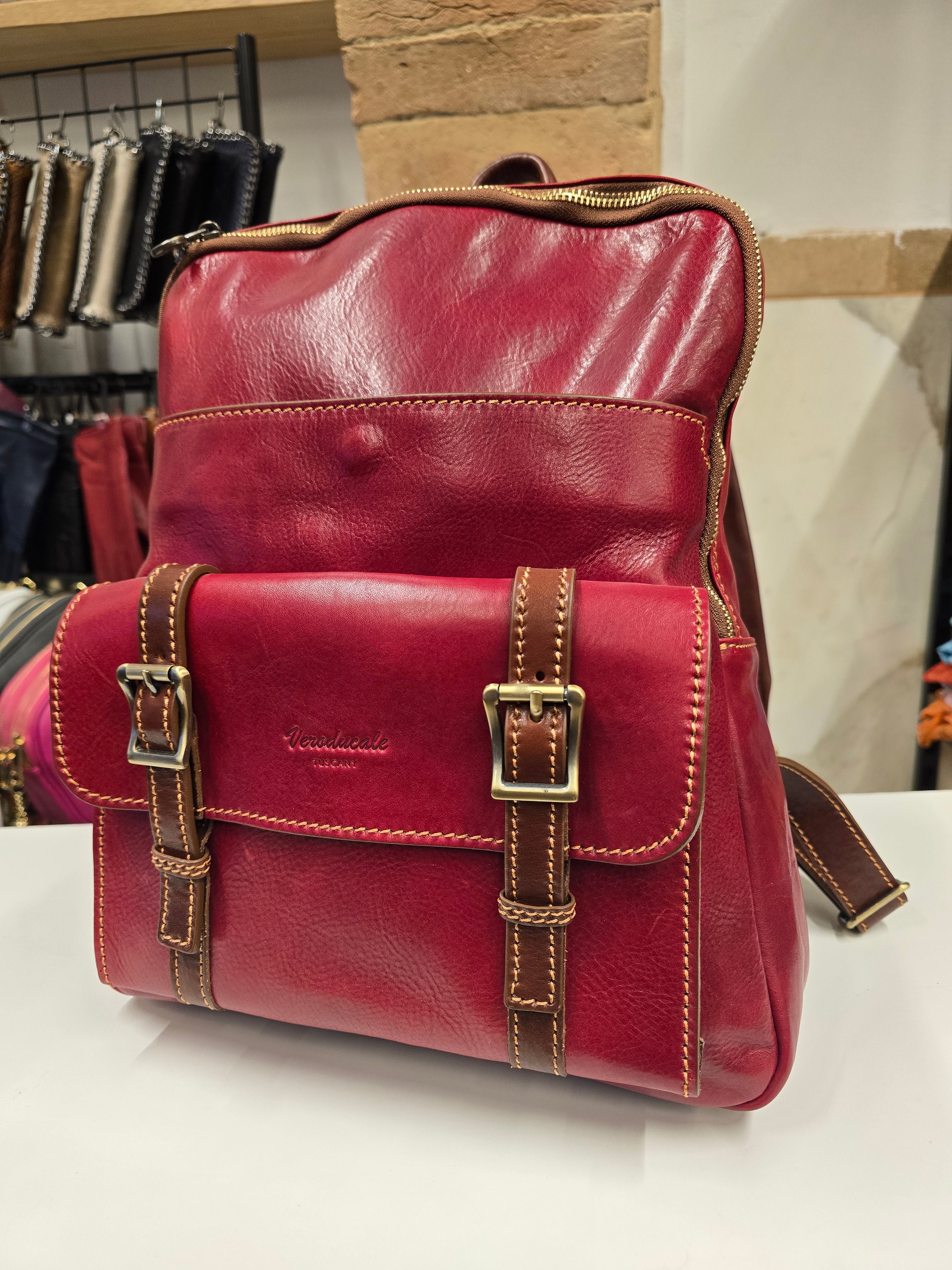 Ducale trolley Sleeve Backpack