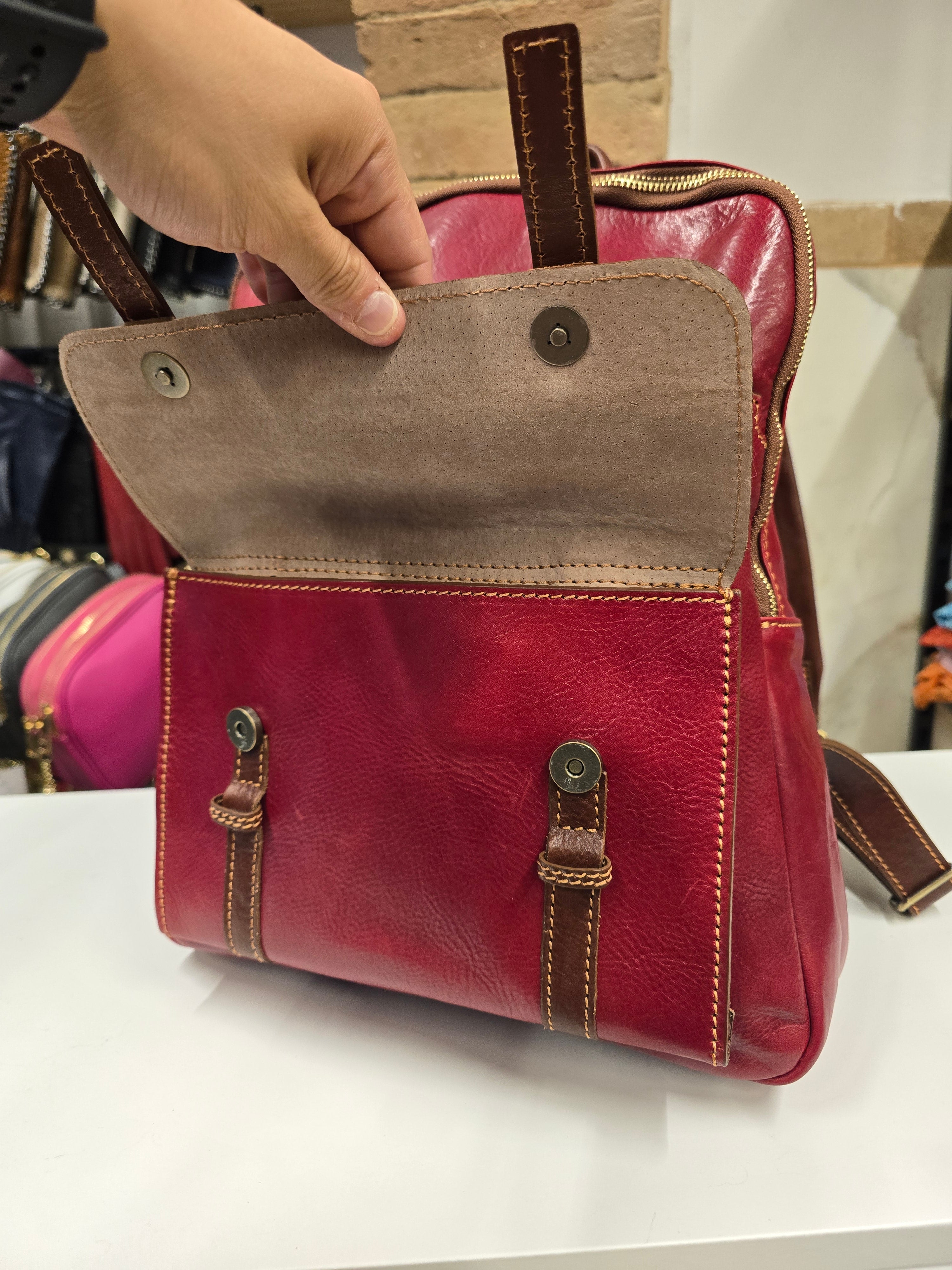 Ducale trolley Sleeve Backpack